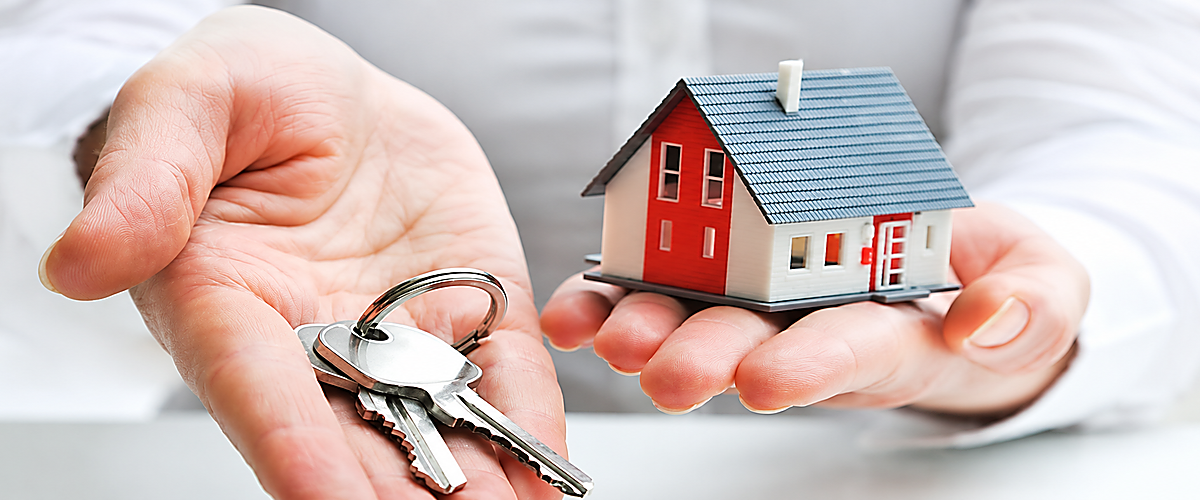 Property Dealing & Real Estate